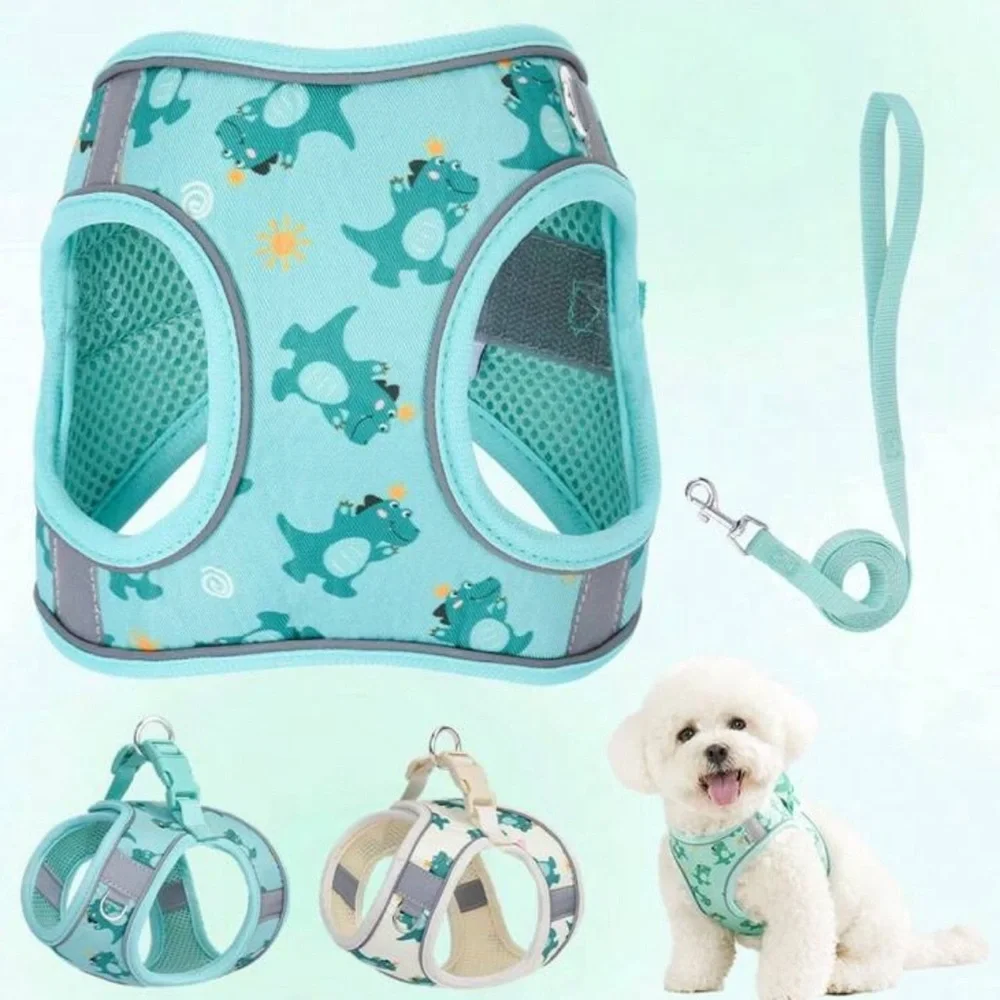 Cute Dinosaur Dog Harness and Leash Set